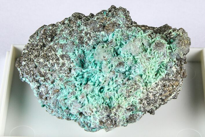 Beautiful Blue-Green Botallackite Crystal Cluster - England #380225